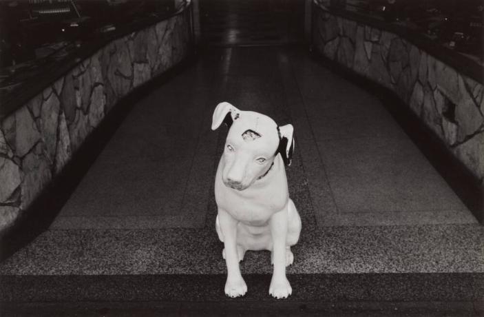 [Plaster White Dog Figure With Hole in Head]