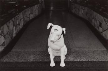 [Plaster White Dog Figure With Hole in Head]