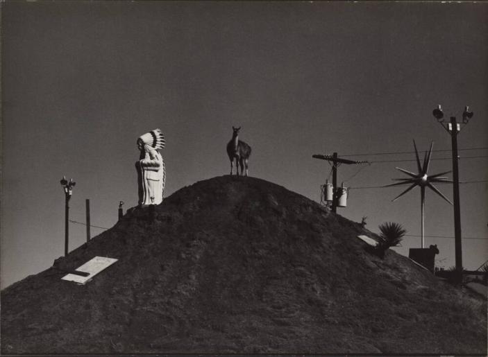 [Small Hilltop With Power Poles, Indian Chief Statue, Llama, Power Poles]