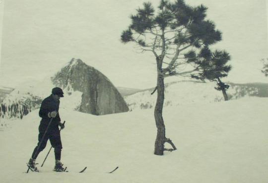 Cross-country Skier, Yosemite