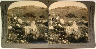 Pass of Upper Beth - horon from S., Scene of Hebrew victories, Palestine