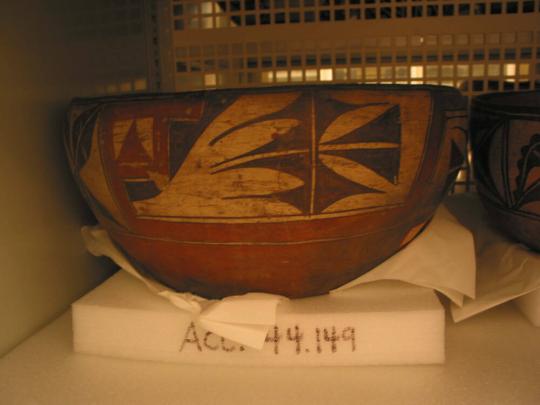 Bowl with Plants and Abstract Designs