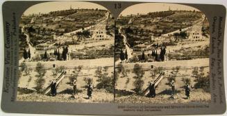 Garden of Gethsemane and Mount of Olives from the eastern wall Jerusalem