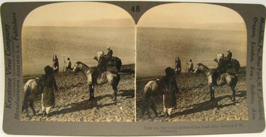 One the north shore of the Dead Sea - looking S. W., Palestine.