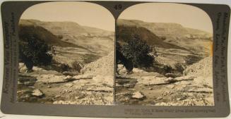 Mt. Nebo, S. from Wady Ayun Musa, showing road to Jordan, Syria.