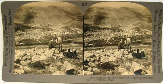 Shechem, an early center of Hebrew history, looking S. W. from Mt. Ebal