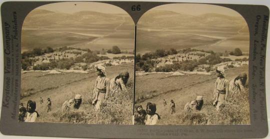 Fertile plain of Dothan, S. W. from hill where the town stood in Elisha's day, Palestine.