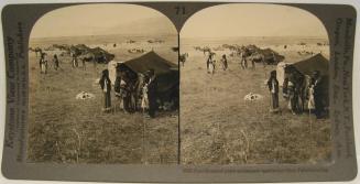 Four thousand years unchanged - patriarchal life in Palestine today.