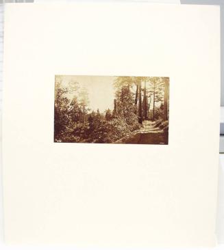 Untitled (View of Yosemite)