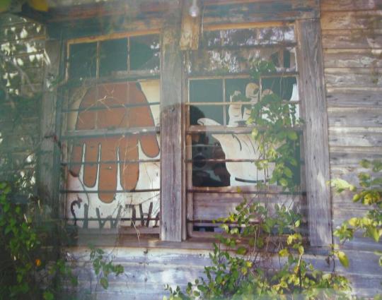 Palmist Window (Close View), Havana Junction, Alabama