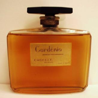 Gardenia