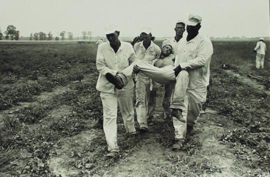 Heat Exhaustion, Ellis Unit, Texas