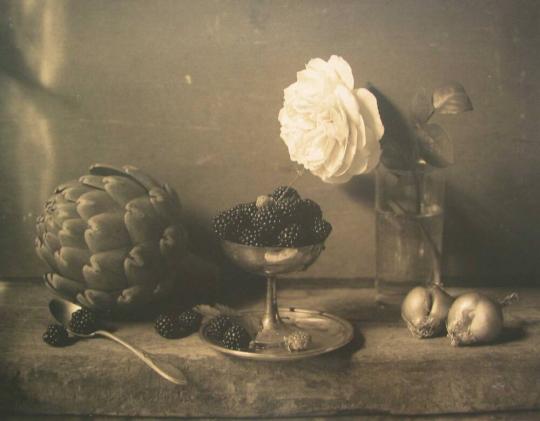 Still-life with Artichoke and Rose