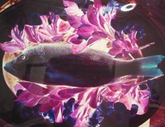 Fish on Bed of Flowers