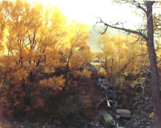 Near Vail, Colorado