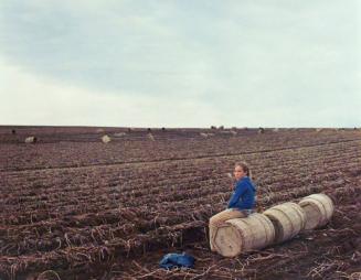 Potato Harvest, Aroostook County, Maine