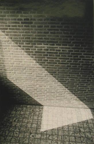 Shadow on a Brick Wall