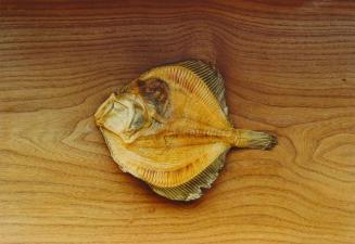 Fish on Wood