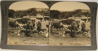 Cana of Galilee and its well - from the south - Palestine.