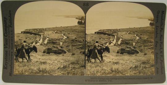 Tabighah spring and Gennesaret plain; view S. W. to Horns of Hattin, Palestine.