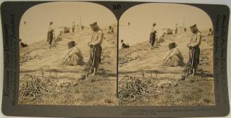 Fishermen mending nets at jordan's entrance to Galilee, (view S.),Palestine.