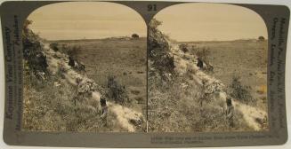 West over sea of Galilee, from above Karsa (Gergesa) to, Horns on Hattin. Palestine.