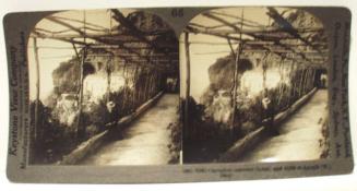 Capuchin Hotel (old convent, 13th century) and great cliff which fell into the sea, 1899 - Amalfi