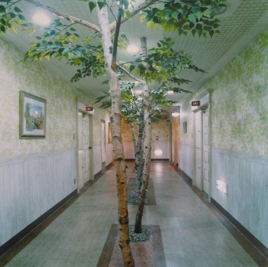 Hallway, Hotel Loire