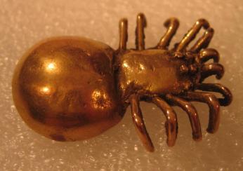 Spider