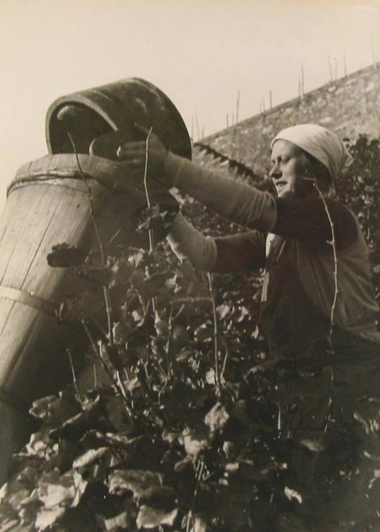 [Woman working on a farm]