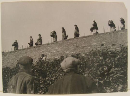 [People working on a farm]