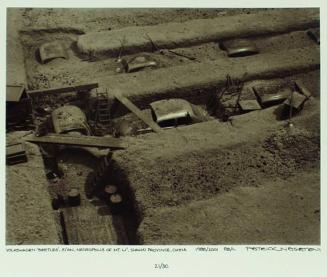 Volkswagen 'Beetles', Xi'an, Necropolis of Mt. Li', Shanxi Province, China