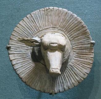 Head of a Tapir