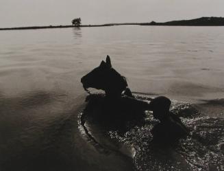 Cruzando el Río a Nado