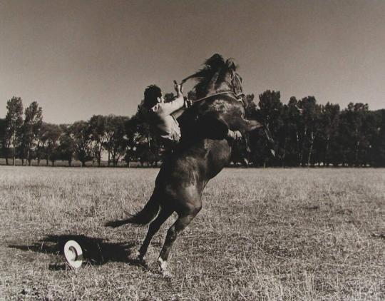 Un Gaucho Domando un Potro