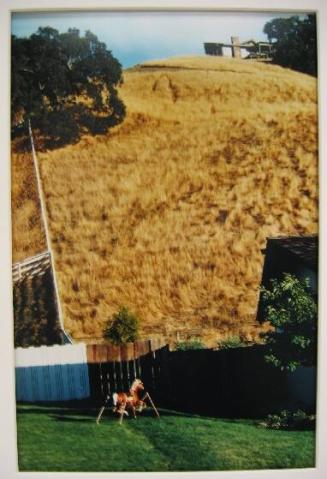 Hillside with Toy Horse, Danville, California