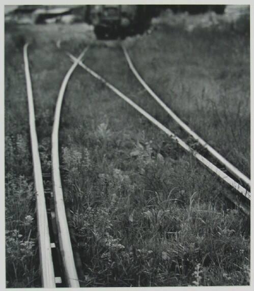 Railway Lines, Belzec, Poland