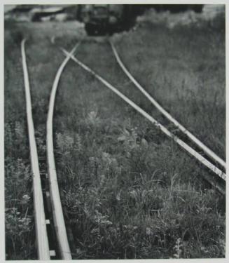 Railway Lines, Belzec, Poland