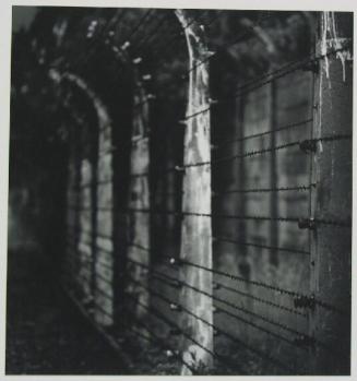 Barbed Wire Fence, Auschwitz, Poland