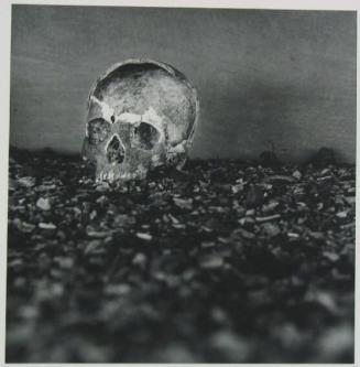 Skull and Bone Fragments, Study 1, Stutthof, Poland