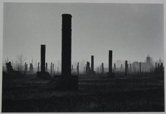 Chimney Flues, Birkenau, Poland