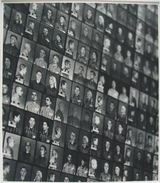 Photographs of Prisoners, Auschwitz, Poland