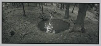 Shell Hole, Near Verdun, France