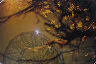 Wonder Wheel, Brooklyn