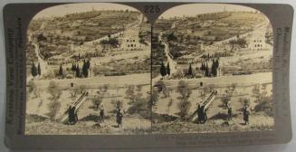 Gardens of Gethsemane and Mount of Olives, from the Eastern Wall, Jerusalem Palestine