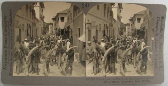 Ivory on the way from the Jungle to America, Main Street, Mombasa, East Africa