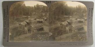 Turumu Village and people in a Forest Clearing near Yakusa, Congo Free State