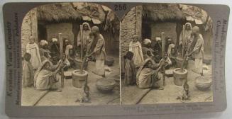 Shelling Rice, and Gossiping with the Neighbors-Home Life of Contented Citizens of Kashmir.