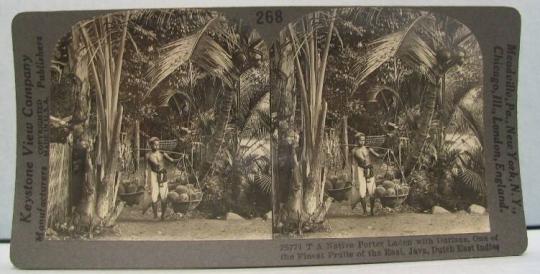 A Native Porter Laden with Durians, One of the Finest Fruits of the East, Java, Dutch East Indies.