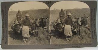 Chinese Boys Plowing near Port Arthur, Manchuria.